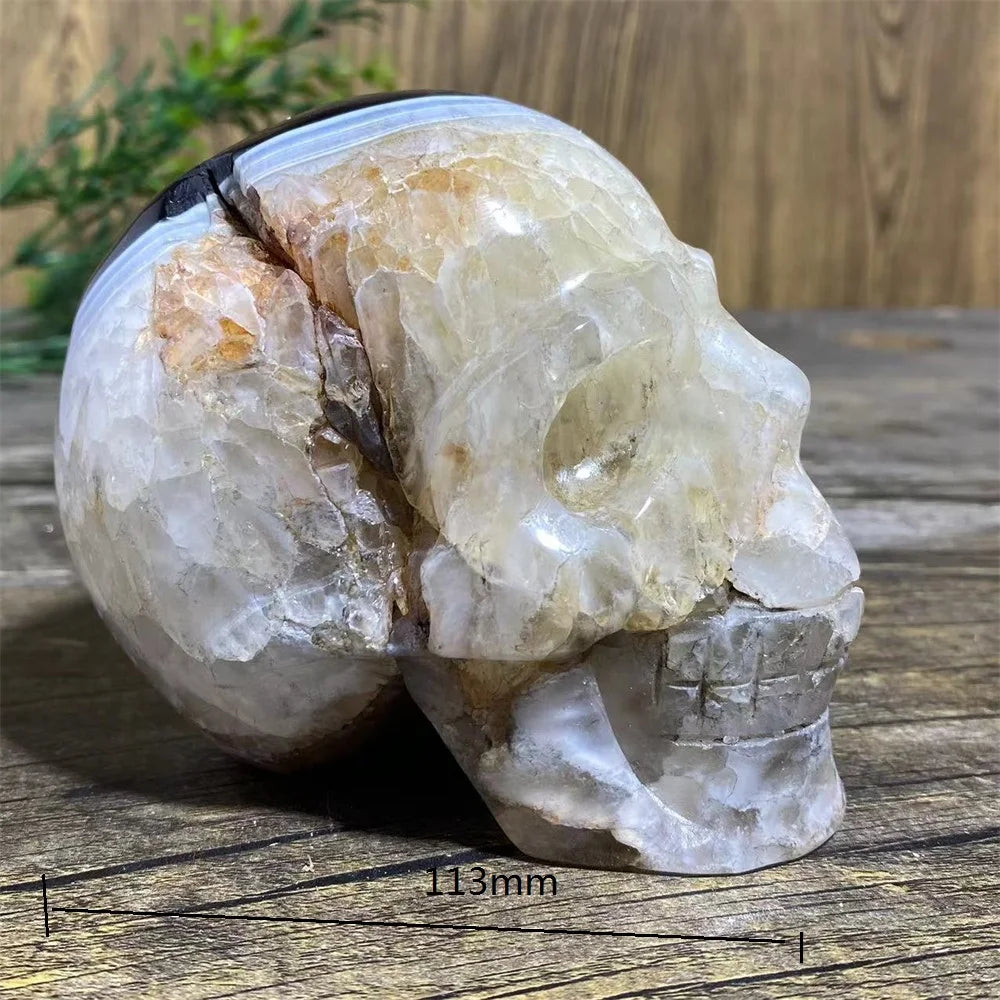 Black Agate Skull-ToShay.org