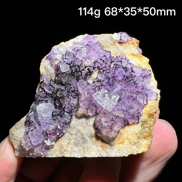 Purple Edge Fluorite-ToShay.org