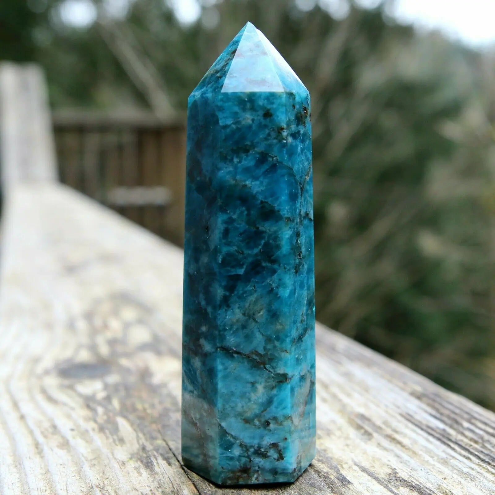 Blue Apatite Point-ToShay.org