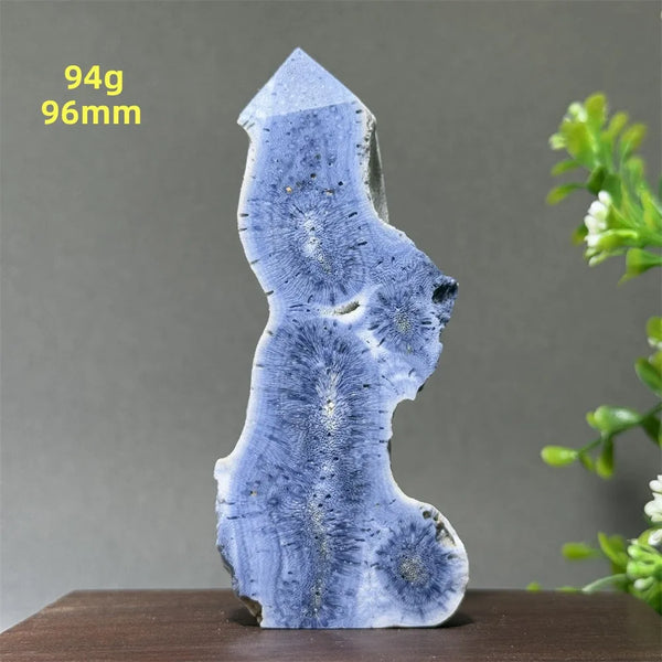 Blue Coral Crystal-ToShay.org