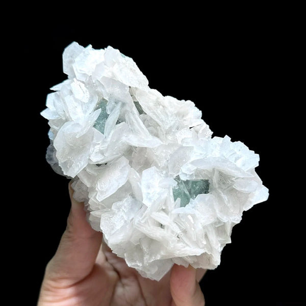 White Calcite Rose-ToShay.org