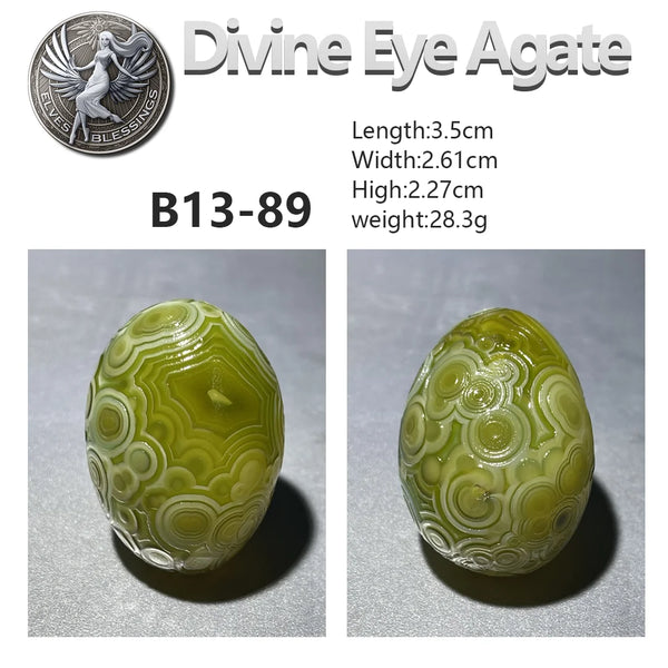 Green Gobi Flower Eye Agate-ToShay.org