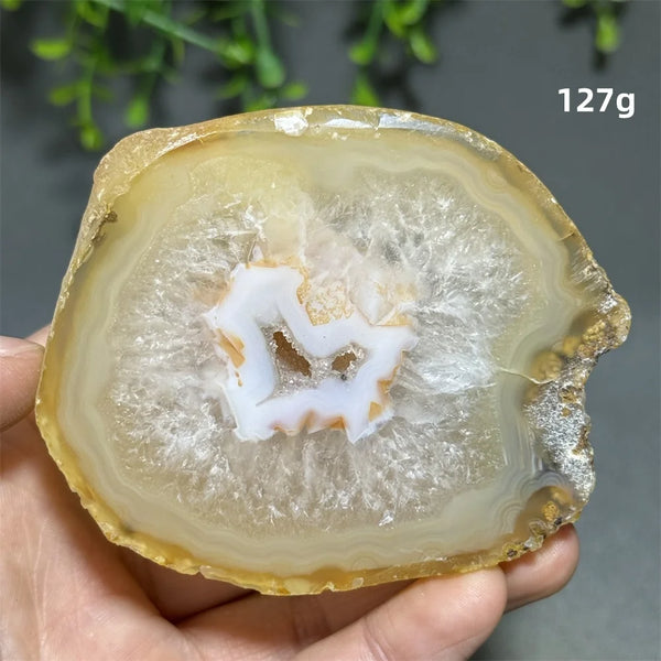 Yellow Agate Slice-ToShay.org