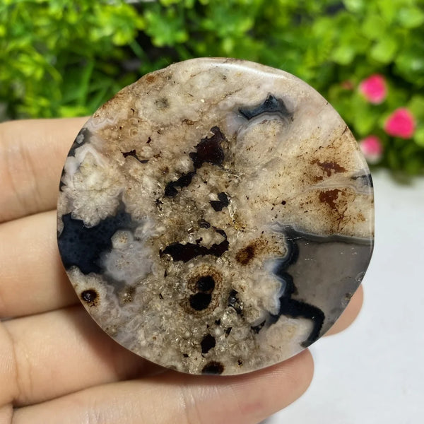 Black Agate Slice-ToShay.org
