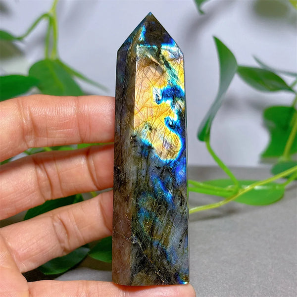 Blue Labradorite Point-ToShay.org