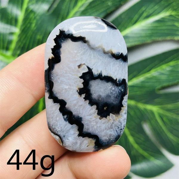 Black White Agate Palm Stone-ToShay.org