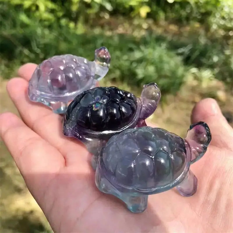 Rainbow Fluorite Turtle-ToShay.org