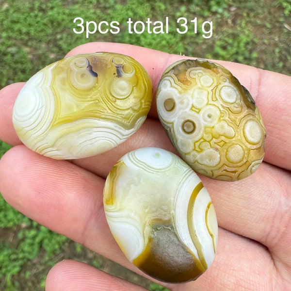 Brown Gobi Eye Agate-ToShay.org