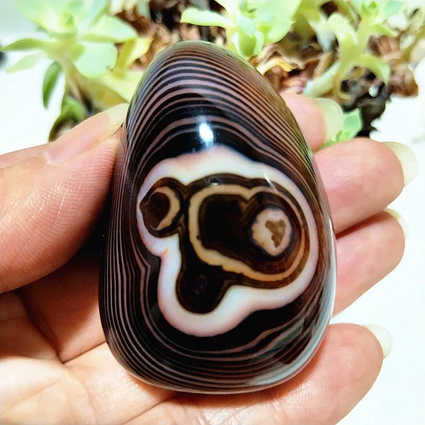 Red Lace Sardonyx Agate-ToShay.org