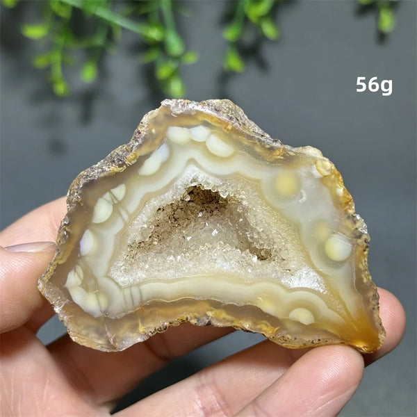 Yellow Agate Slice-ToShay.org