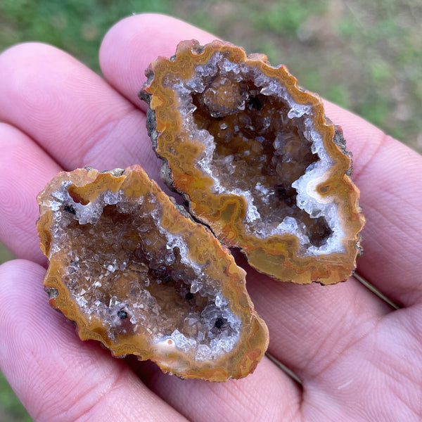 Mixed Agate Geode Egg-ToShay.org
