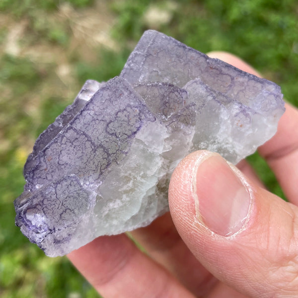 Purple Edge Fluorite-ToShay.org