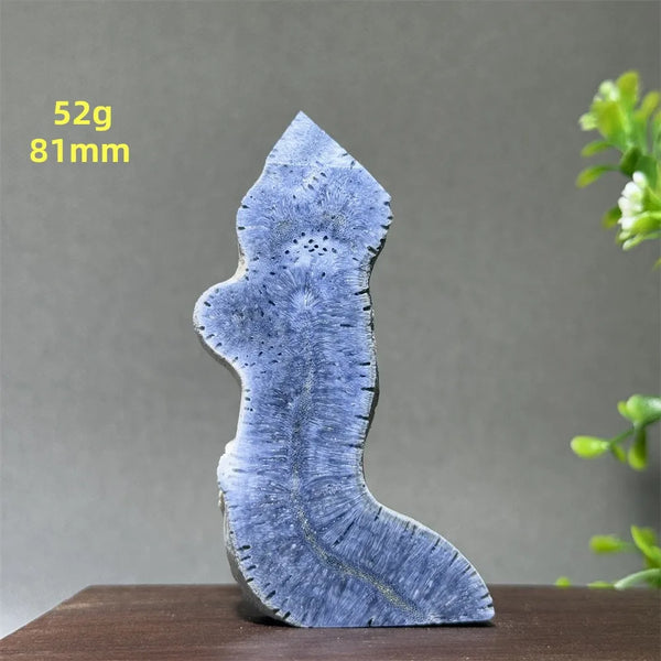 Blue Coral Crystal-ToShay.org