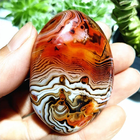 Red Flower Agate Palm Stone-ToShay.org