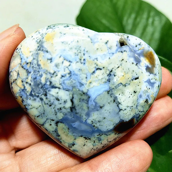 Ocean Jasper Hearts-ToShay.org