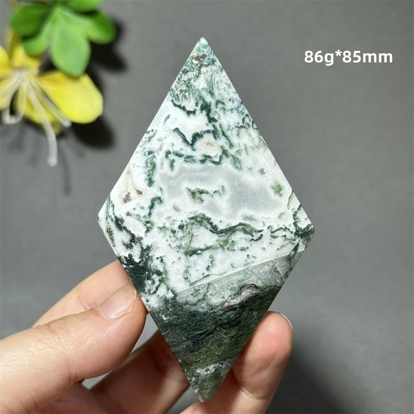 Green Aquatic Plant Agate-ToShay.org