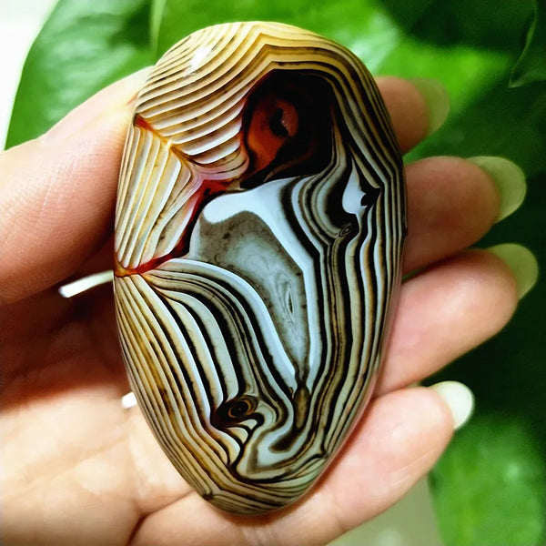 Red Lace Sardonyx Agate-ToShay.org