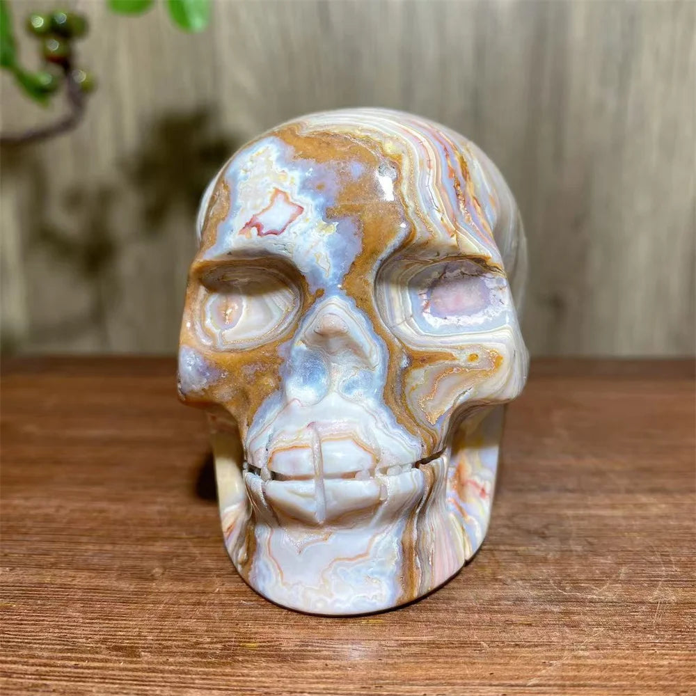 Yellow Crazy Lace Agate Skull-ToShay.org