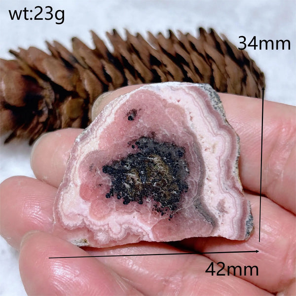 Pink Rhodochrosite Slice-ToShay.org