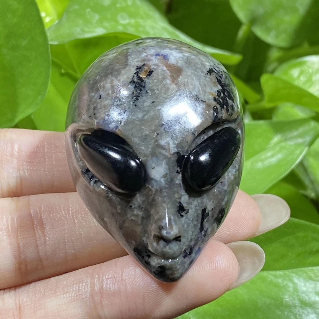 Mixed Crystal Alien Skulls-ToShay.org