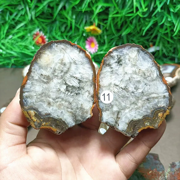 Mixed Agate Quartz Crystal-ToShay.org