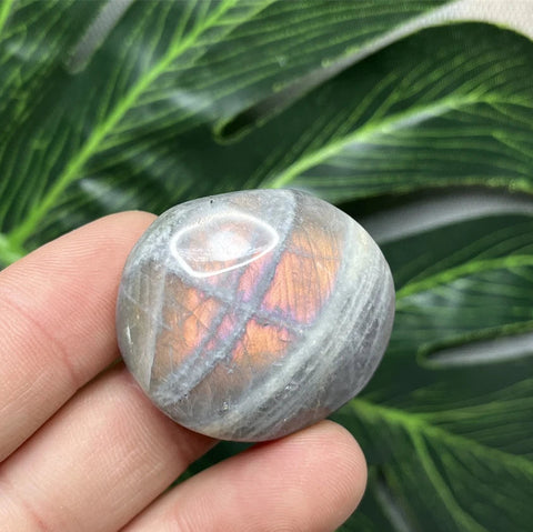 Purple Labradorite Palm Stone-ToShay.org