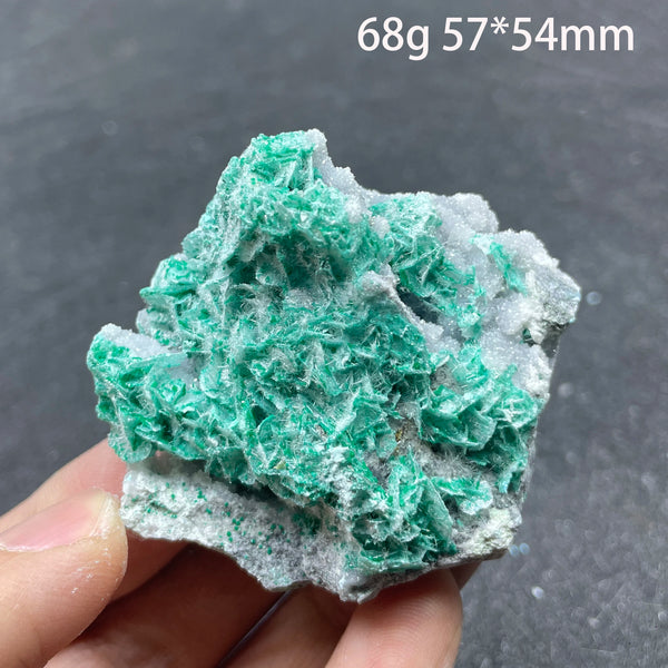 Blue Antlerite Quartz Crystal-ToShay.org