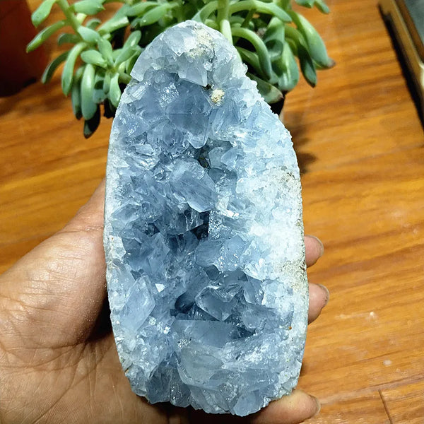 Blue Celestine Geode Crystal-ToShay.org