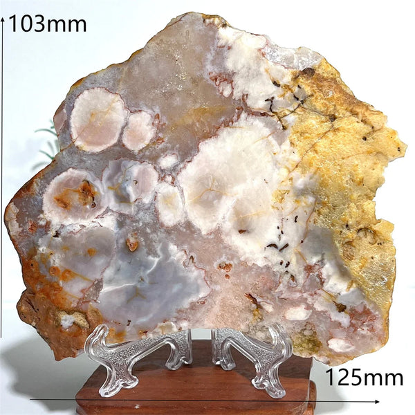 Pink Amethyst Flower Agate-ToShay.org
