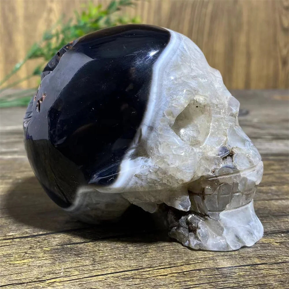 Black Agate Skull-ToShay.org