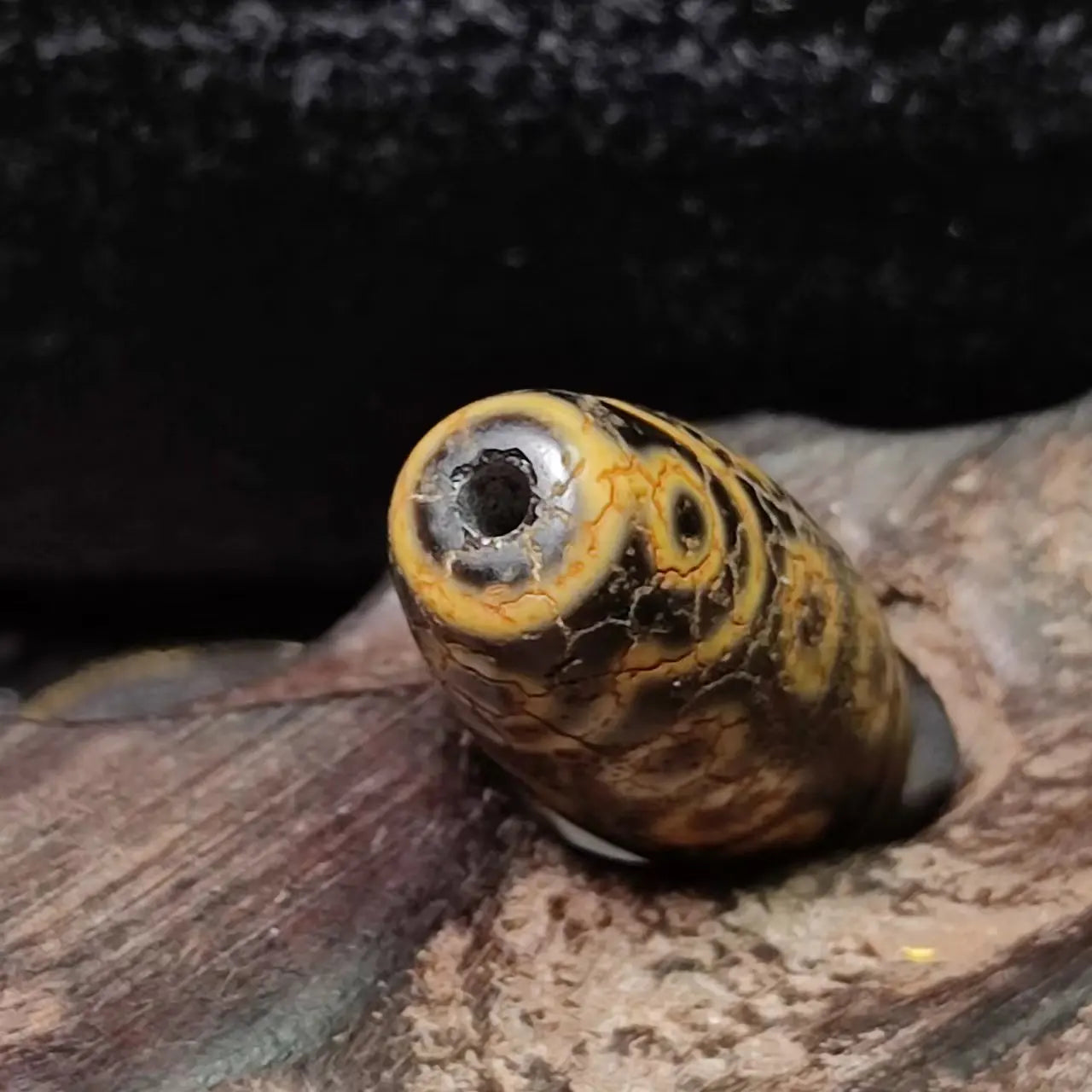 Tibetan Agate Eyes Dzi-ToShay.org