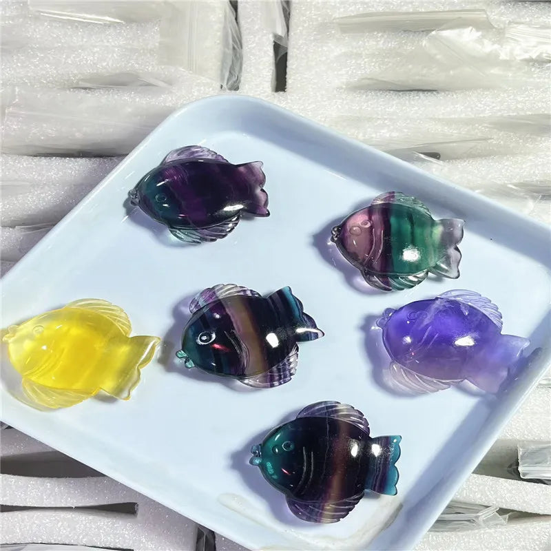 Rainbow Fluorite Fish-ToShay.org