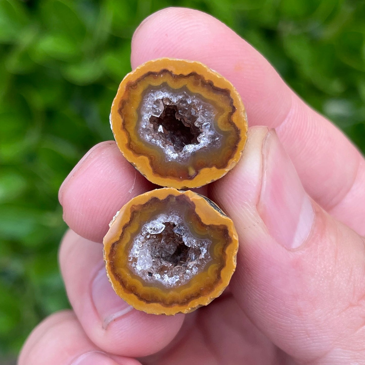 Mixed Agate Geode Eggs-ToShay.org