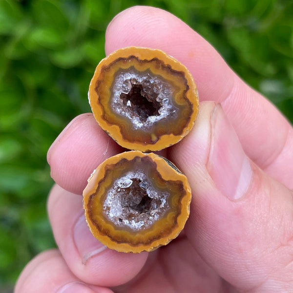 Red Sardonyx Geode Egg-ToShay.org