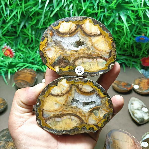 Mixed Crystal Agate-ToShay.org