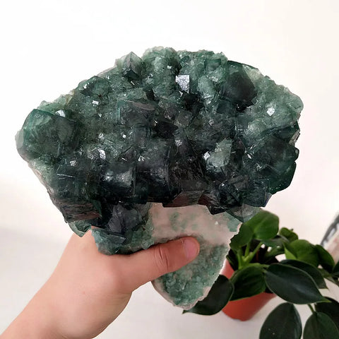 Green Fluorite Crystal Flower-ToShay.org