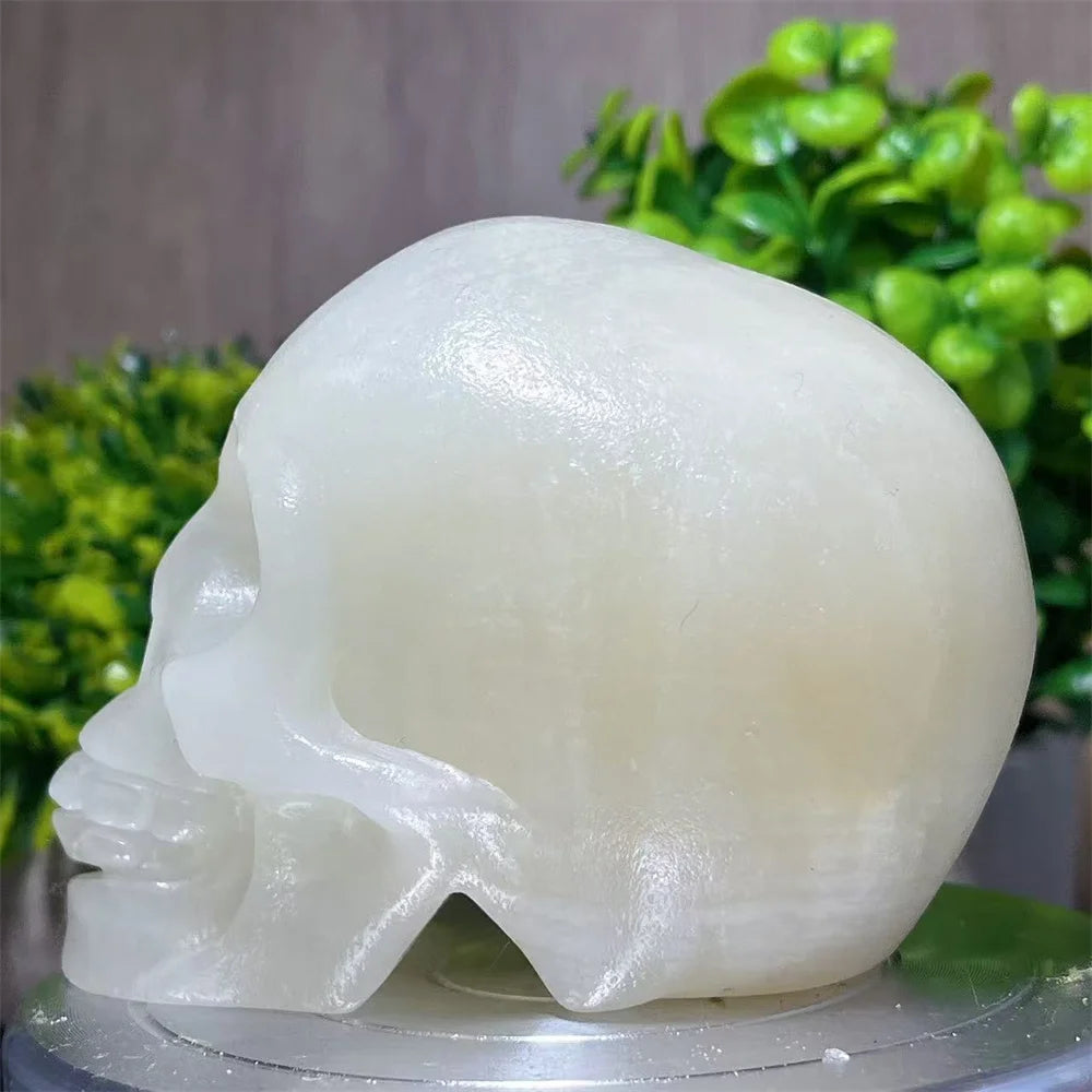 White Jade Skull-ToShay.org