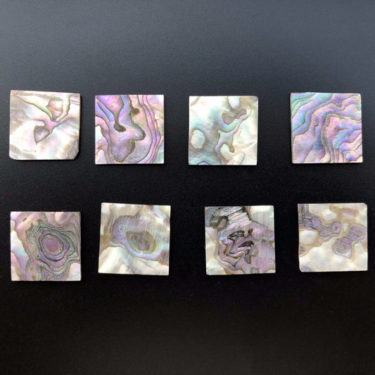 Blue Abalone Square Slice-ToShay.org