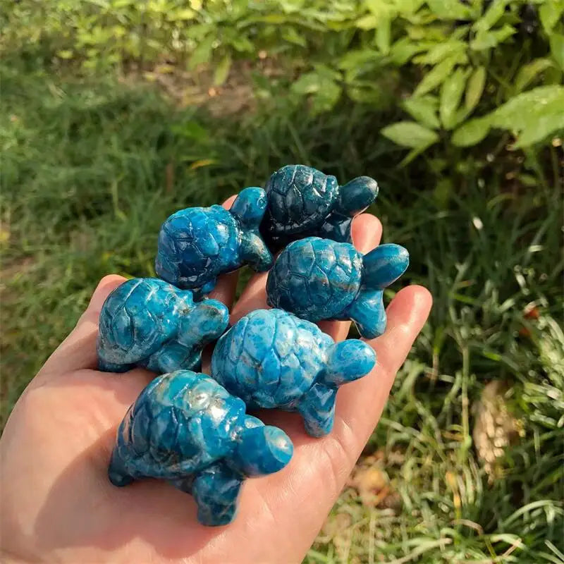 Blue Apatite Tortoise-ToShay.org