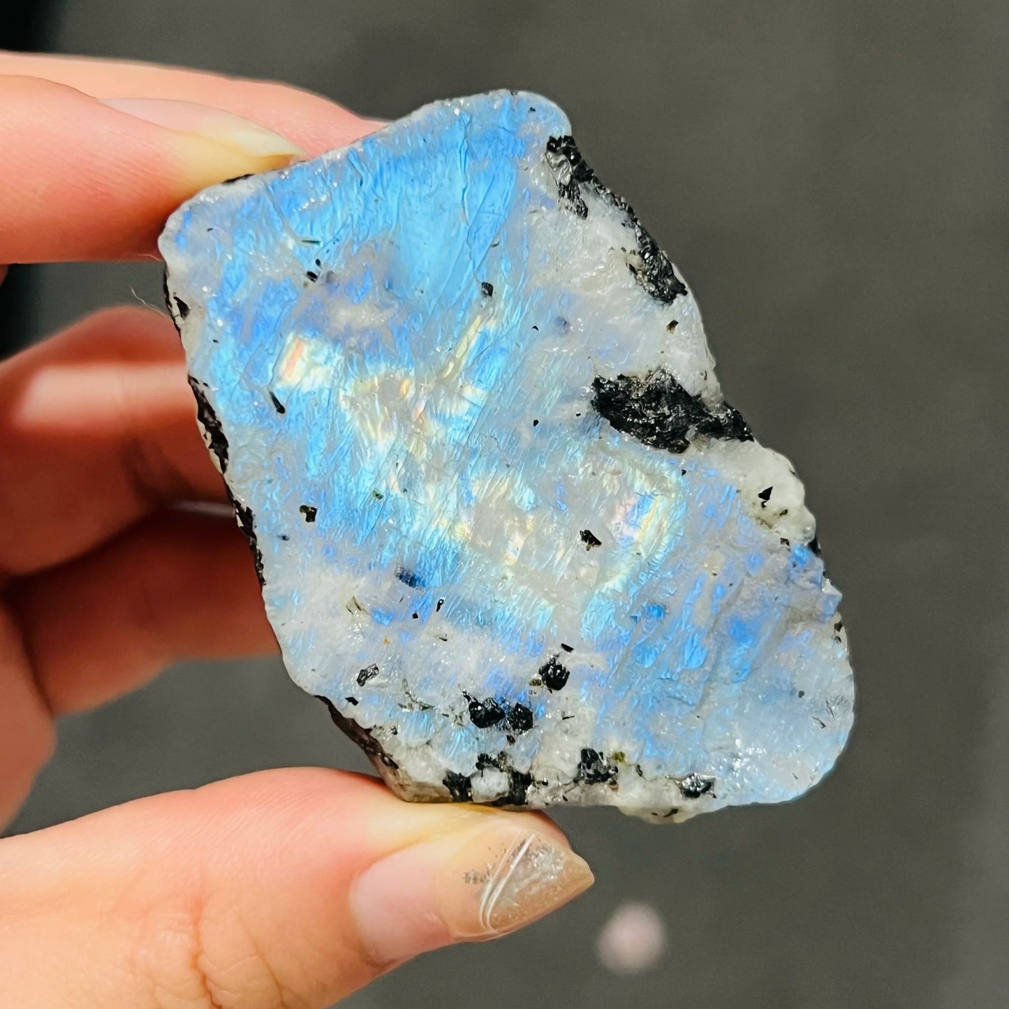 Blue Rainbow Moonstone-ToShay.org