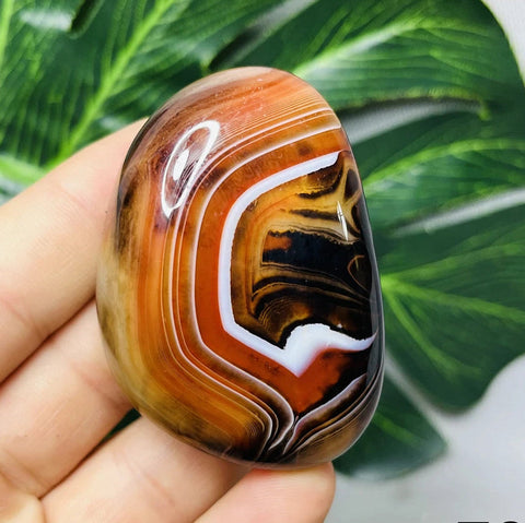 Red Lace Agate-ToShay.org