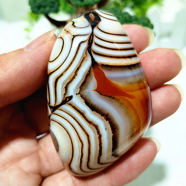 Red Lace Sardonyx Agate-ToShay.org