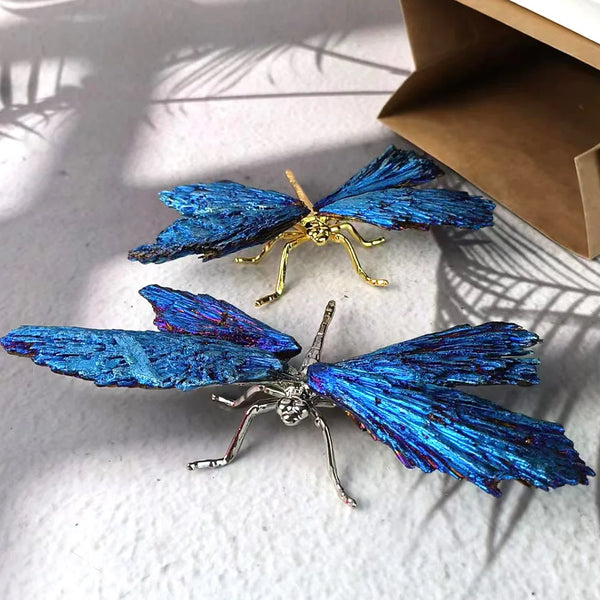 Aura Black Tourmaline Dragonfly-ToShay.org