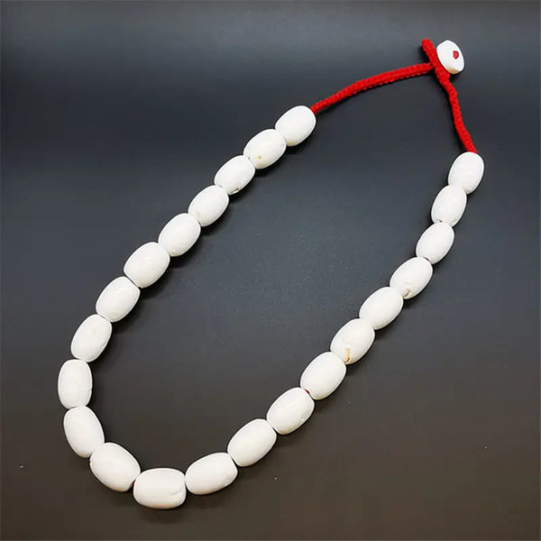 White Conch Shell Necklaces-ToShay.org