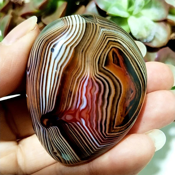 Red Lace Sardonyx Agate-ToShay.org
