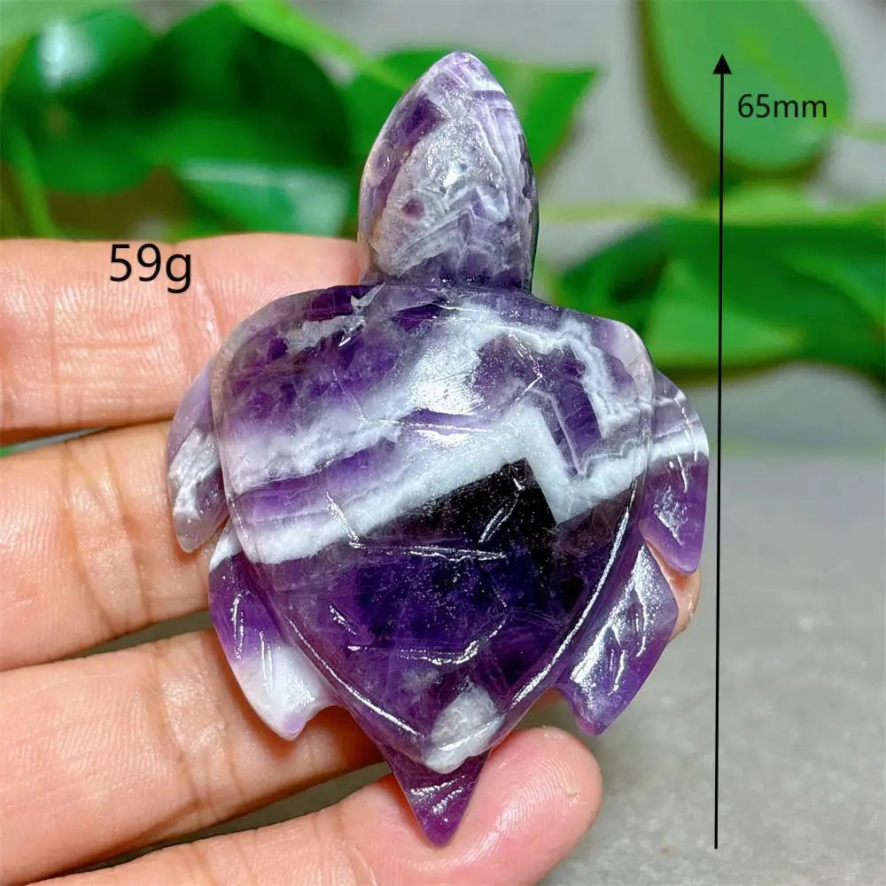 Purple Dream Amethyst Tortoise-ToShay.org