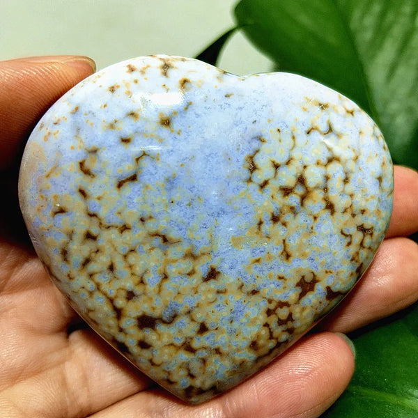 Ocean Jasper Hearts-ToShay.org