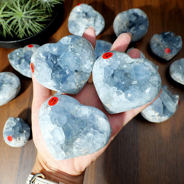 Blue Celestite Cluster Geode-ToShay.org