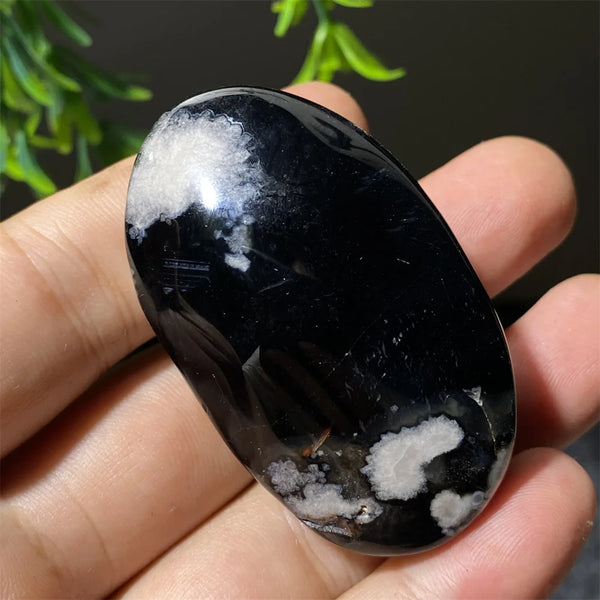 Black Flower Agate-ToShay.org