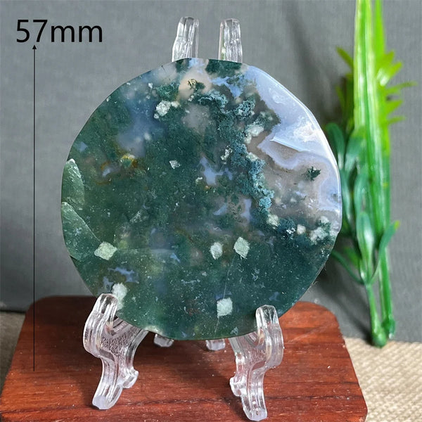 Green Moss Agate Plate-ToShay.org